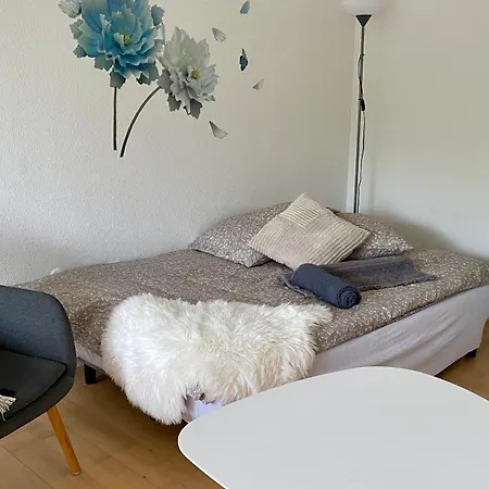 Apartment Stor 2 Vaerelses