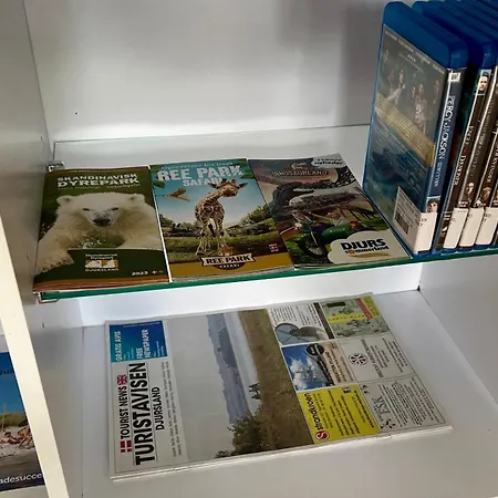 Stor 2 Vaerelses Randers